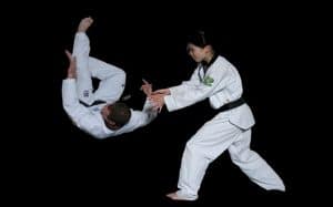HOI JEON MOO SOOL classes  practice Hoi Jeon Moo Sool, Hap Ki Do, and Kickboxing together.  " Hoi Jeon Moo Sool (HJMS) is a Korean martial art developed by Myung Jae-Ok  specialized in: 
1. KYEOK KI: Kick & punch attacking , blocking 
2. TU KI: Self- defense 
3. MUKI: Weapon techniques 
4. WHALKI –body structure & physiotherapy Techniques 
5. NAE KI - Developing the inner strength