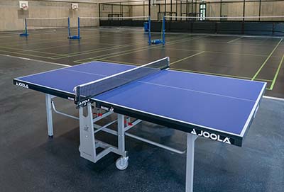 Ping pong online near me