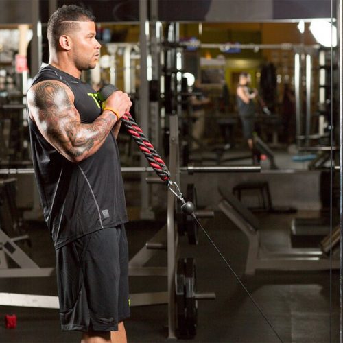 Bicep cable curl
