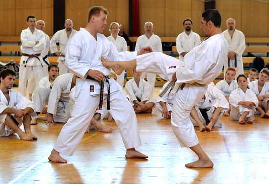 Karate Benefits