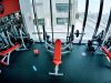 Crony Fitness Gym - Strength area