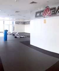 Combat Martial Arts & Fitness Club – Dubai