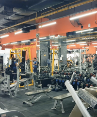 Dx Tream Fitness – Dubai