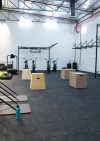 Asylum Fitness Gym – RAK