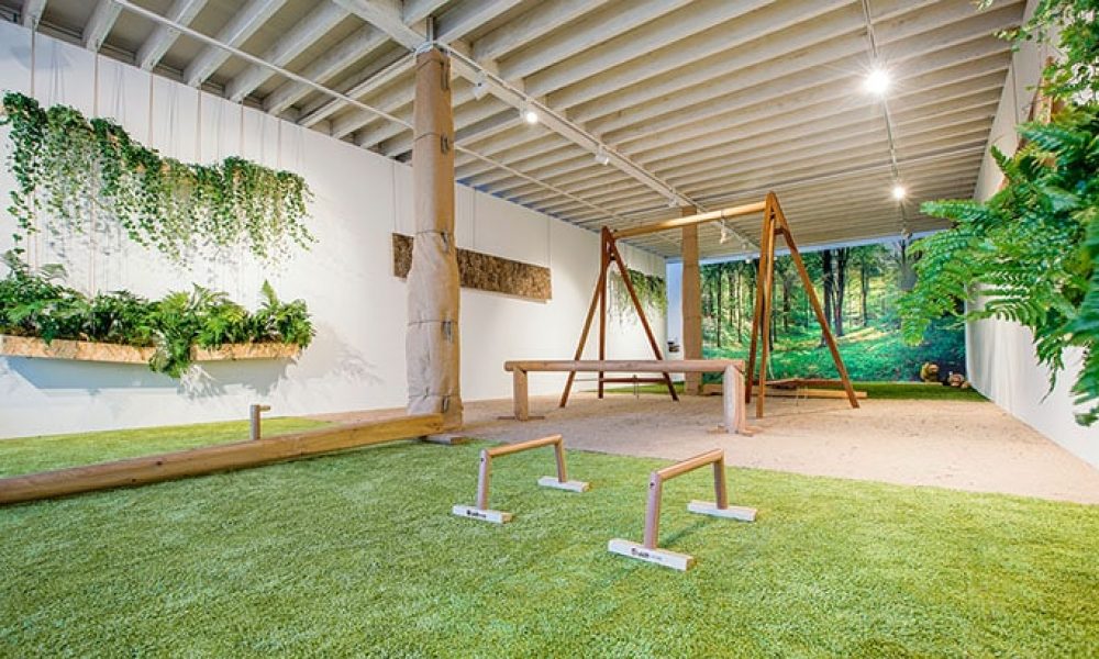 Biophilia Workouts