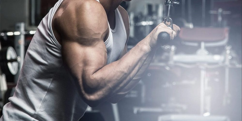 Best Triceps exercises