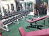 Free Weights - Natural Gym RAK