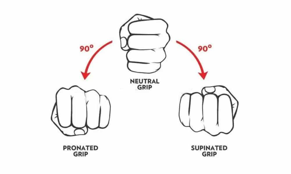 Pronated vs supinated grips