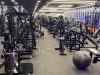 Five Stars Gym - Al Barsha 14