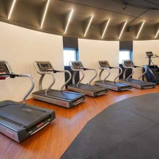 Five Stars Gym - Al Barsha 15