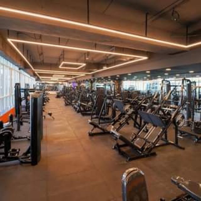 Five Stars Gym - Al Barsha 16