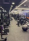 Five Stars Gym Al Barsha – Dubai