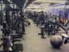 Five Stars Gym Al Barsha – Dubai